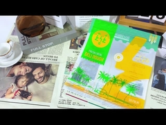 Saco de embalagem de plástico de fecho de fecho Matte Desaparecido para alimentos cozidos