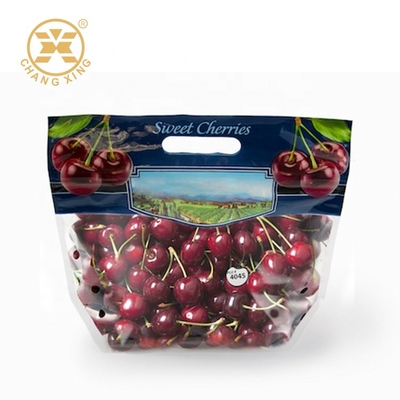sacos de empacotamento do fruto seco de 100g 500g com furo Cherry Stand Up Pouches Eco fresco amigável